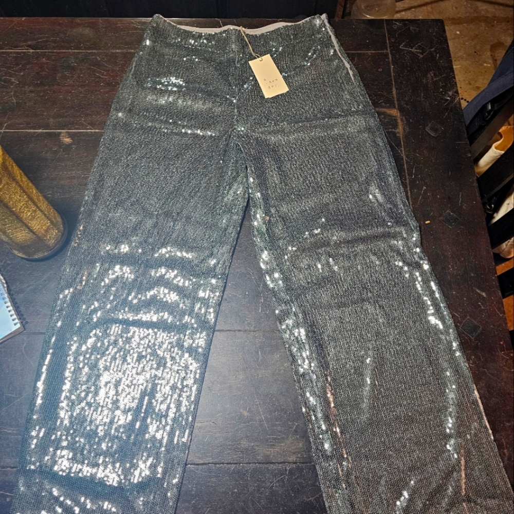 Sequin pants